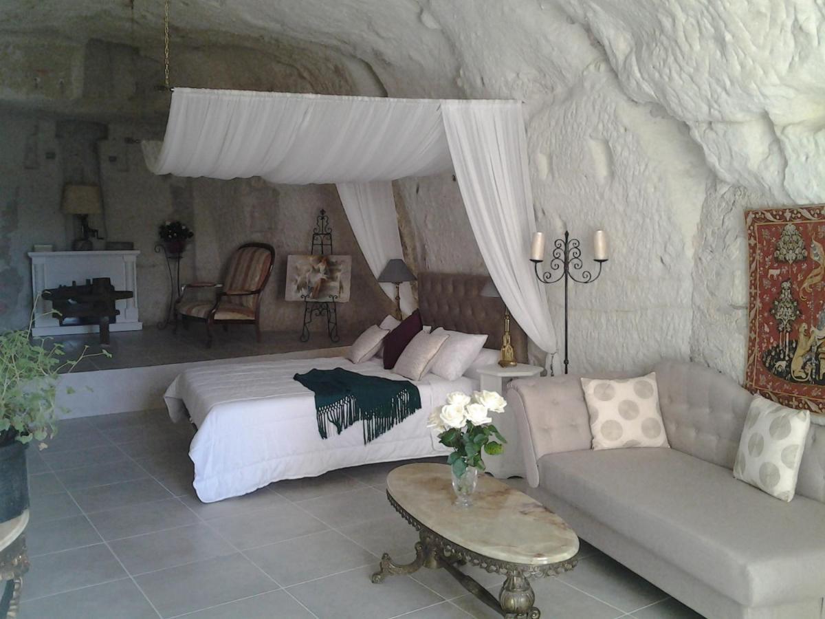 Le Manoir Des Roches Bed & Breakfast Bourre Ngoại thất bức ảnh