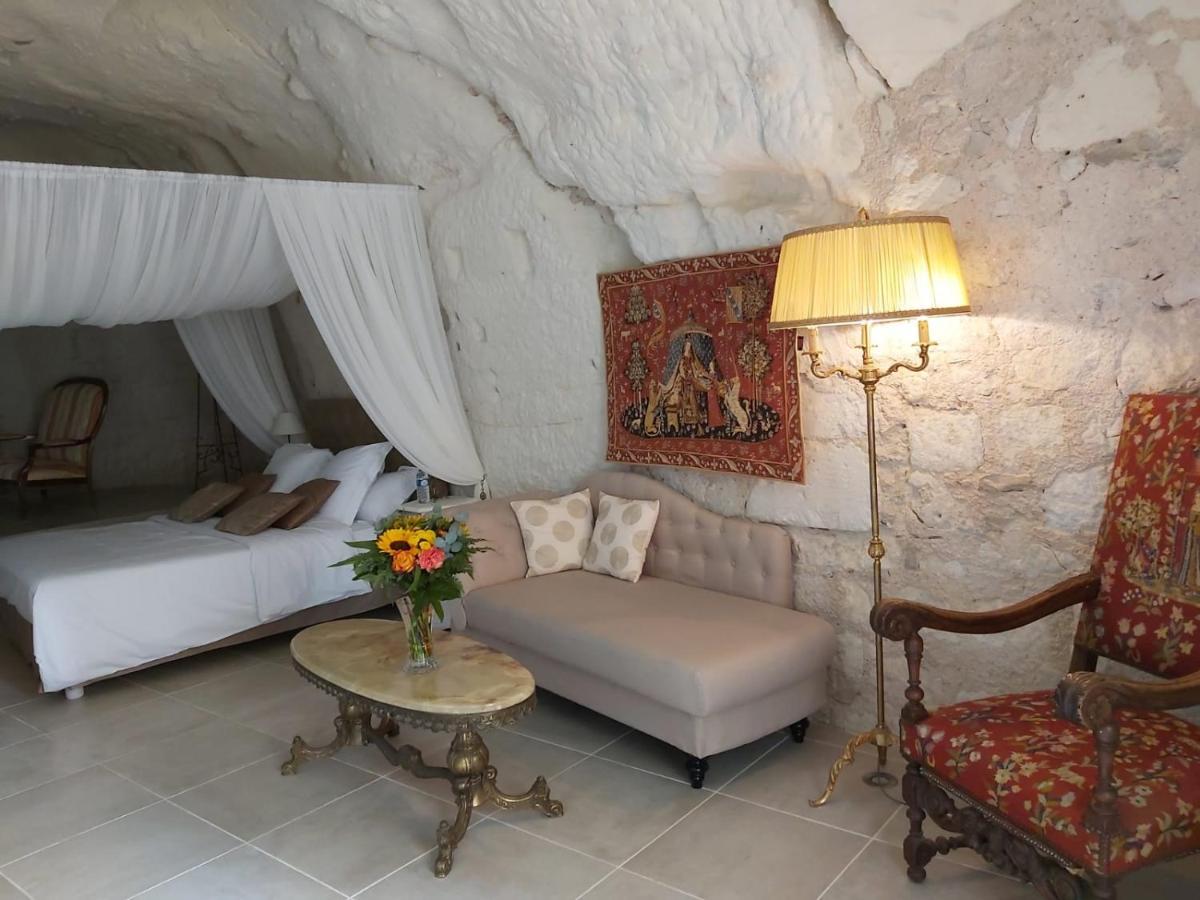 Le Manoir Des Roches Bed & Breakfast Bourre Ngoại thất bức ảnh