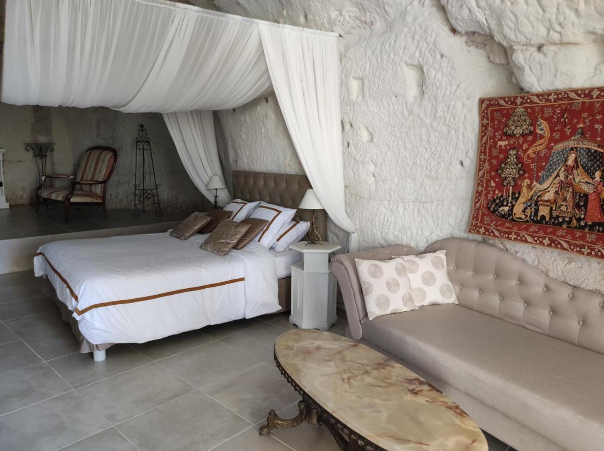 Le Manoir Des Roches Bed & Breakfast Bourre Ngoại thất bức ảnh